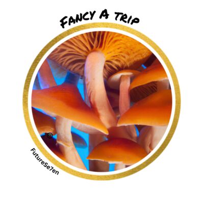 Take a trip logo Thumbnail